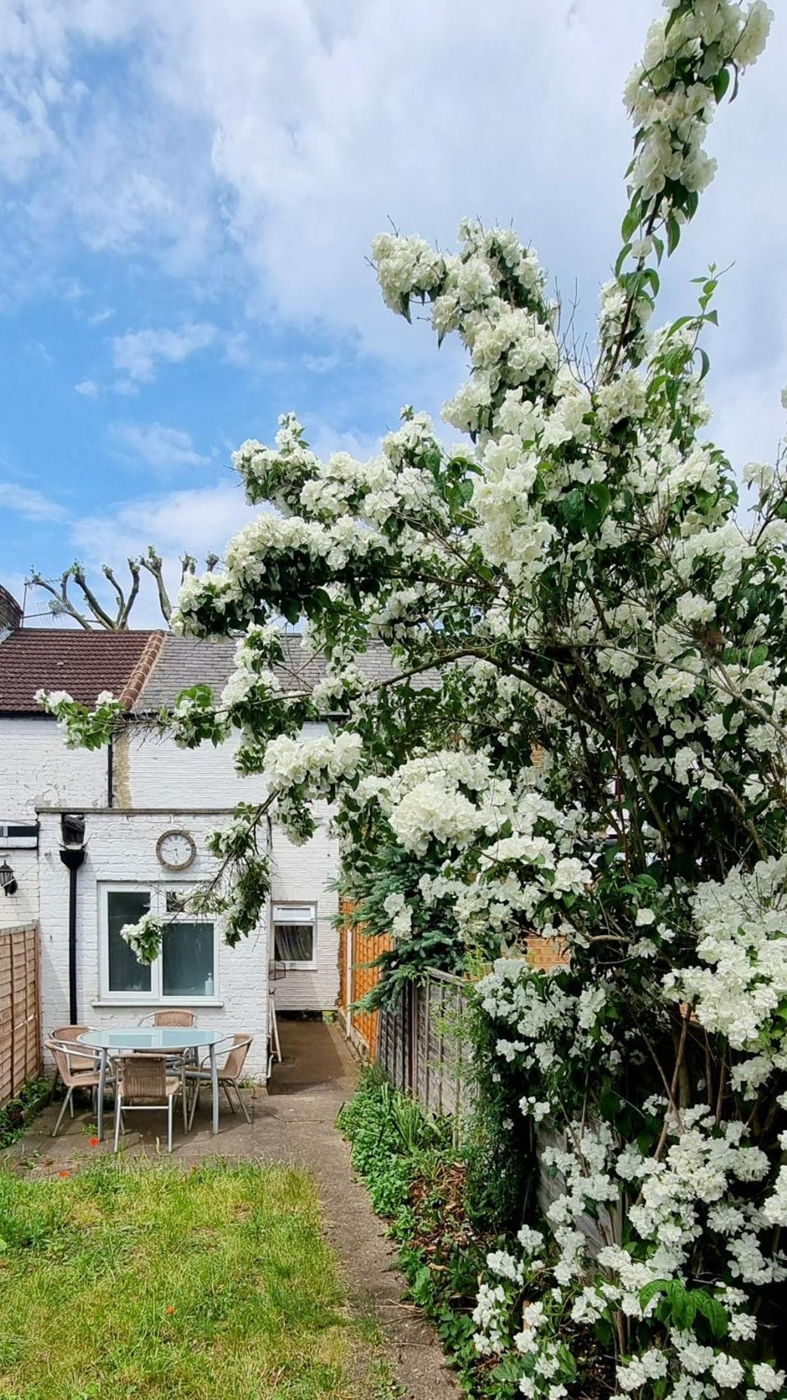 Cute Cottage In Egham Heathrow- 7 Guests 3 Bedrooms Exterior photo